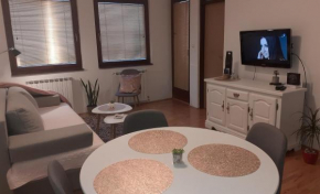 Cozy apartment in the center of East Sarajevo
